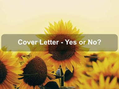 Cover Letter - Yes or No?