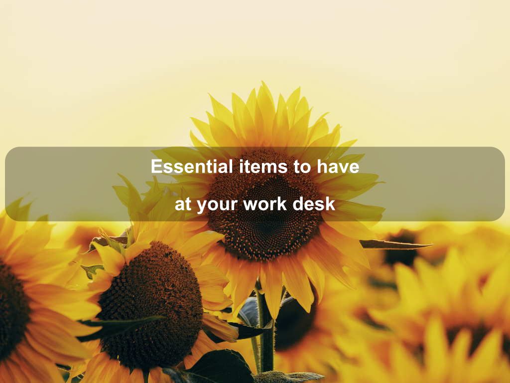 Essential items to have at your work desk | JavascriptJobs