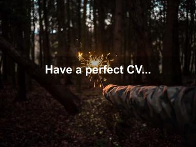 Have a perfect CV...