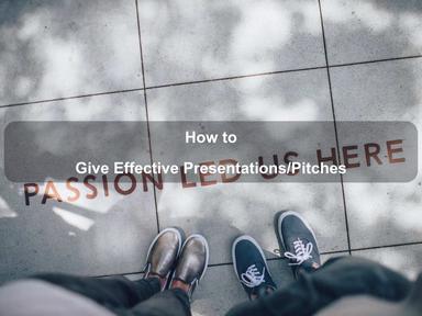 How to Give Effective Presentations/Pitches