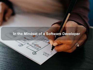 In the Mindset of a Software Developer