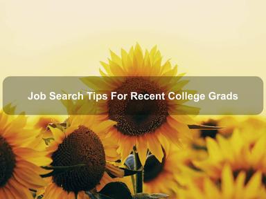 Job Search Tips For Recent College Grads