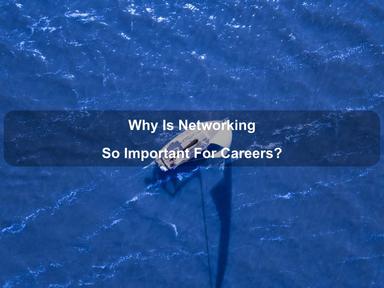 Why Is Networking So Important For Careers?